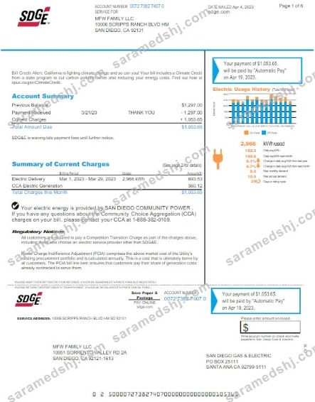 USA SDGE utility bill Word and PDF template